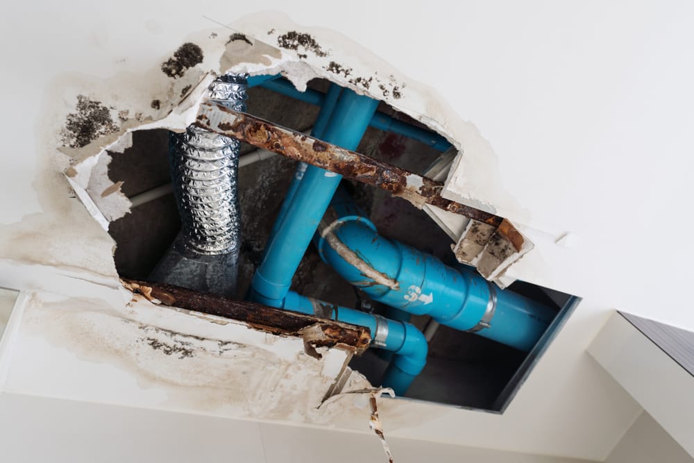 Water Leak Detection Tampa plumber locating hidden pipe leak